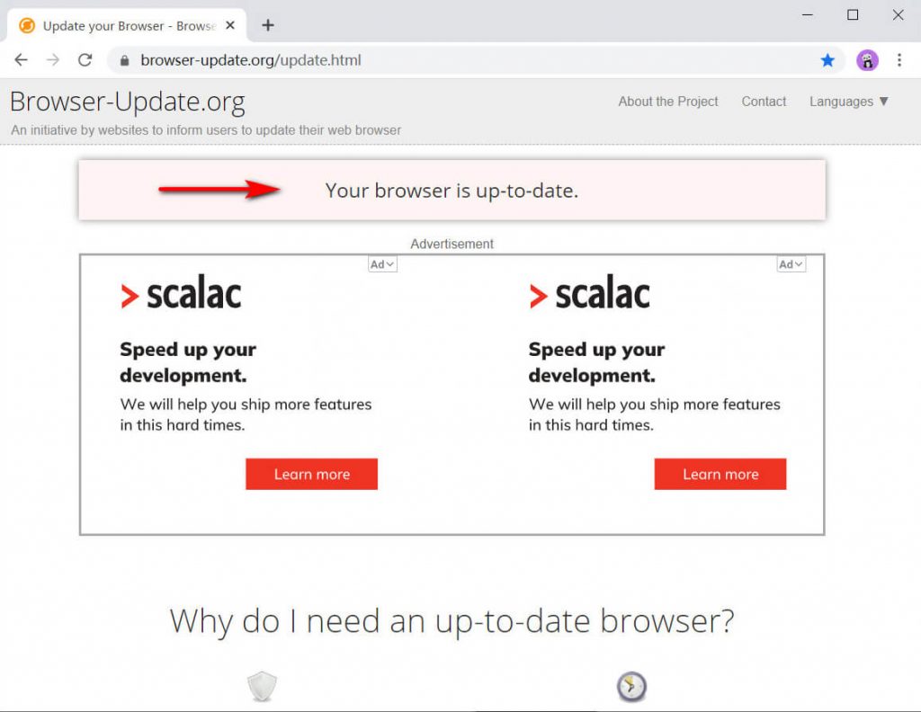 Überprüfen Sie Ihren Browser