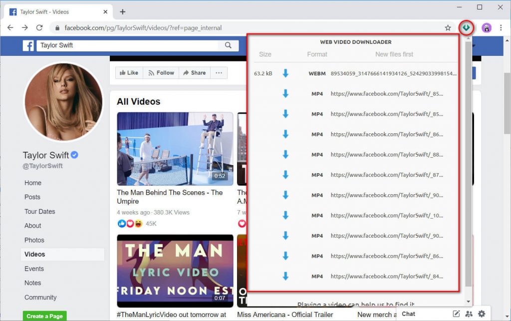 Web Video Downloader working interface