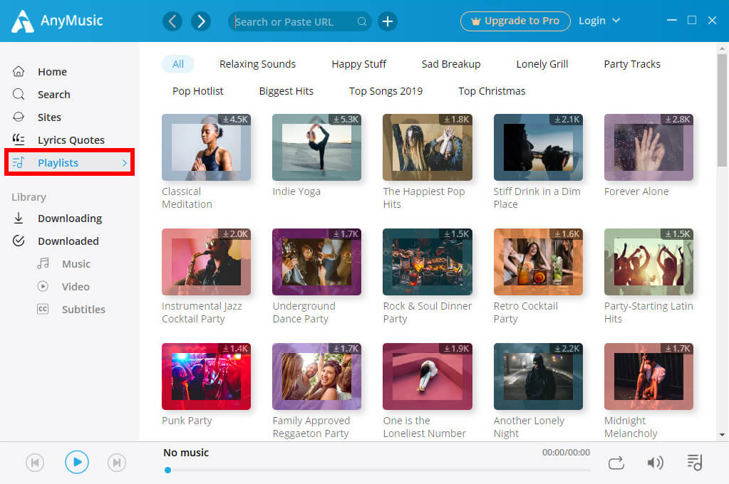 AnyMusic playlists section