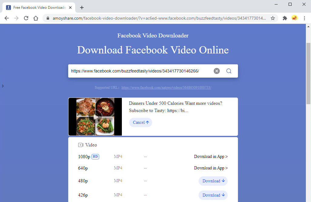 facebook link downloader mp4