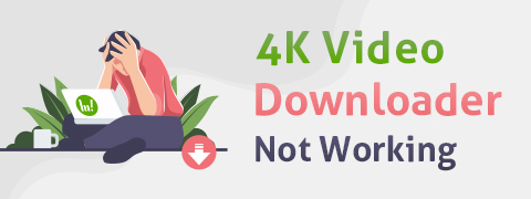 4k video downloader not doloading video