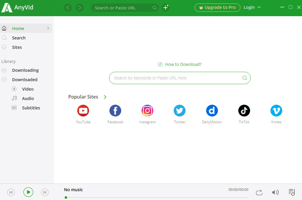 AnyVid 4K video downloader