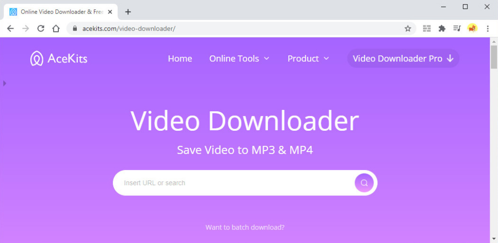 AceKits video downloader online