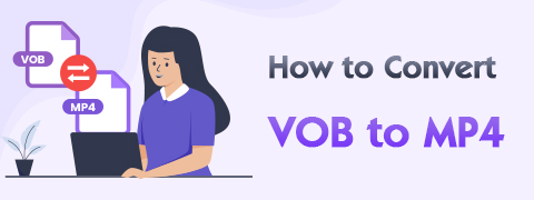 Cómo convertir VOB a MP4 [5 convertidores asombrosos]