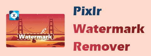 How to Use Pixlr Watermark Remover [Detailed Steps]